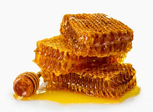 contoh observasi penelitian - manfaat madu lebah untuk tubuh