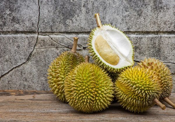 contoh paragraf eksposisi klasifikasi - jenis-jenis durian