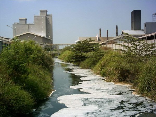 contoh teks laporan hasil observasi tentang lingkungan hidup - pencemaran limbah sawit di lingkungan sungai baliri